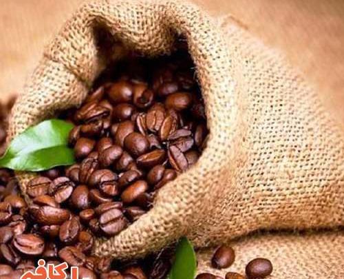 عکس قهوه روبوستا