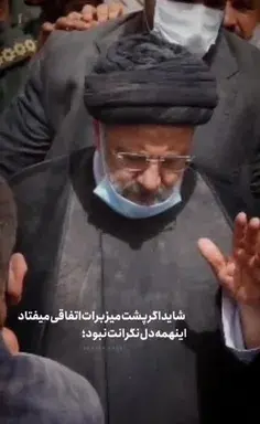 عکس ببر عاشقانه