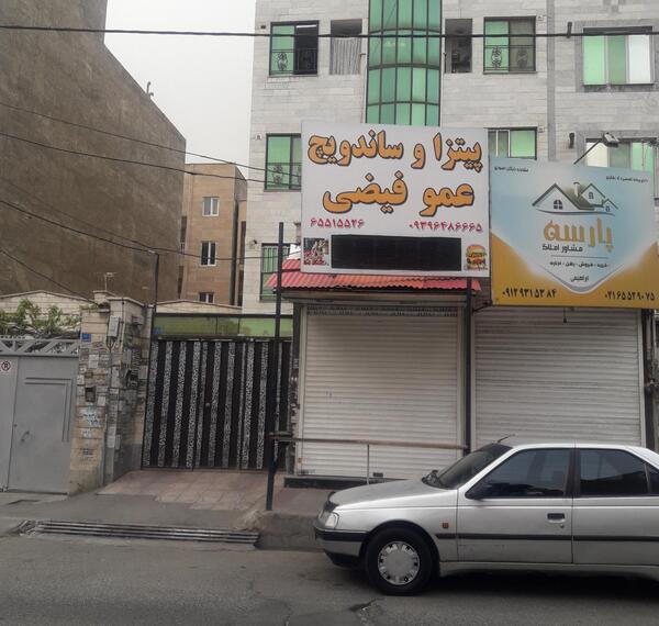 عکس شکوفه فیضی