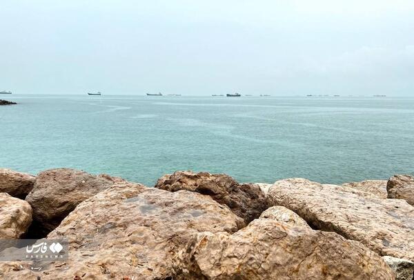عکس داماد بندرعباس