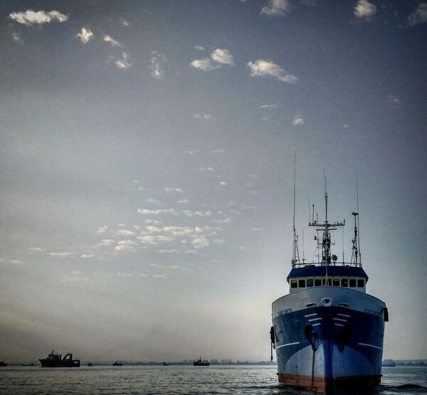 عکس داماد بندرعباس