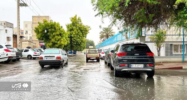 عکس داماد بندرعباس