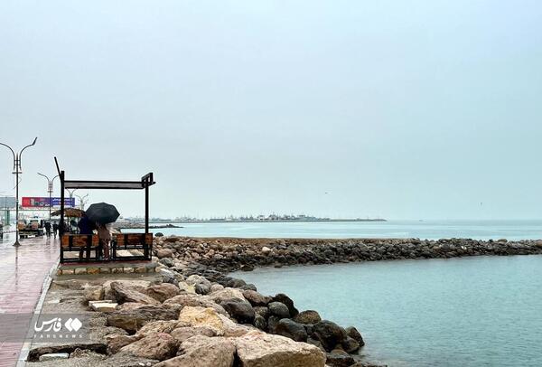 عکس داماد بندرعباس