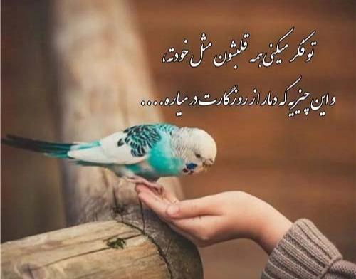 عکس پروفایل لاکچری دخترانه و پسرانه