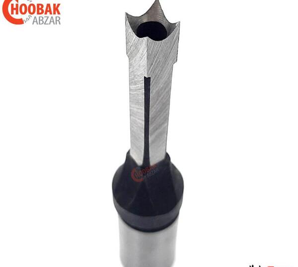 عکس مجری زن قطر
