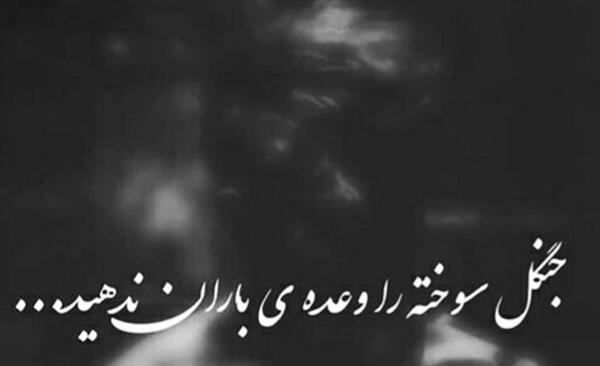 عکس برای پروفایل واتساپ مردانه