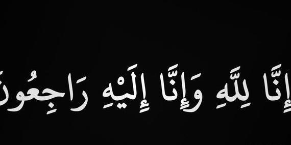عکس امین همتی