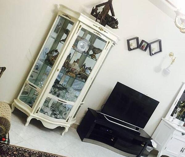 عکس تیشرت بارداری فانتزی