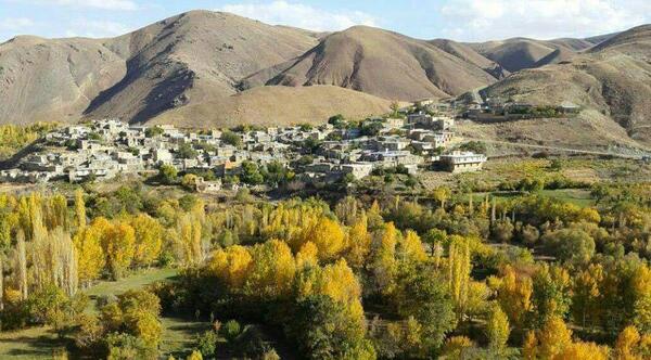 عکس آویشن زنجان، استان زنجان
