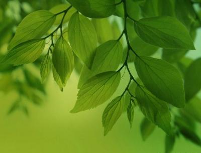 عکس ماشین برای پشت زمینه