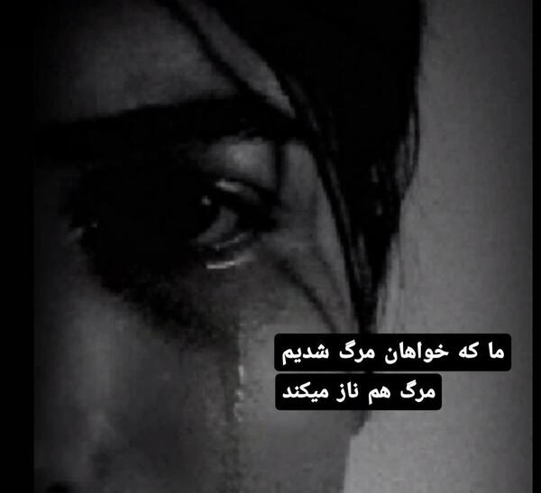 عکسهای جلیل زاده