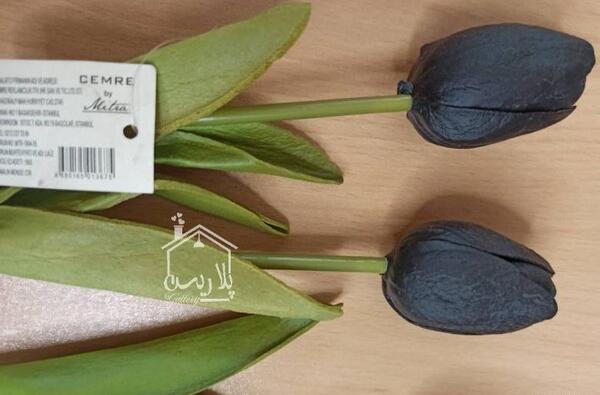 عکس لاله سیاه