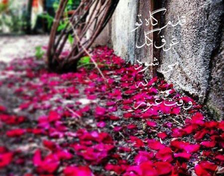 عکس زندگی جهنمی