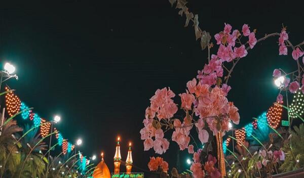 عکس حرم امام حسین در شب