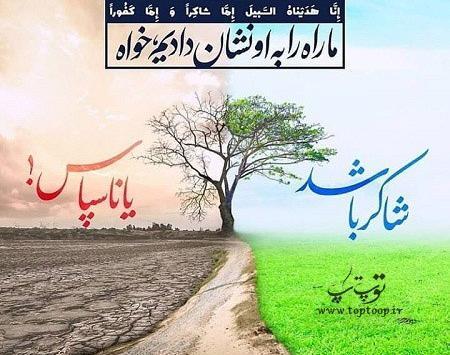 عکس نوشته شکر گزاری از خدا