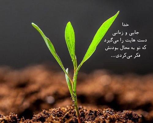 عکس نوشته شکر گزاری از خدا