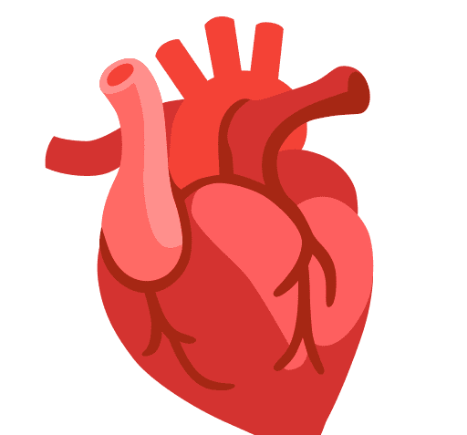 عکس واقعی ضربان قلب