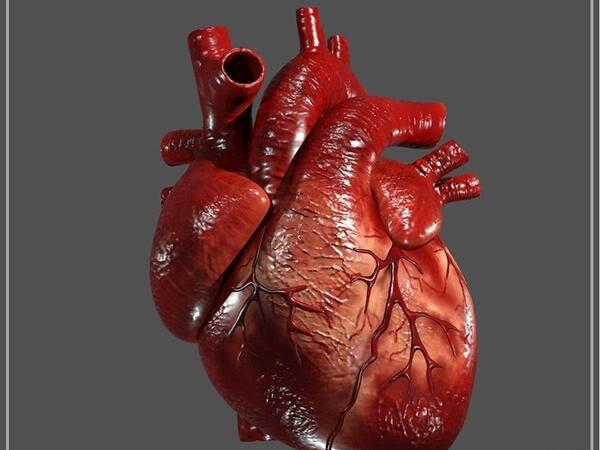 عکس واقعی ضربان قلب