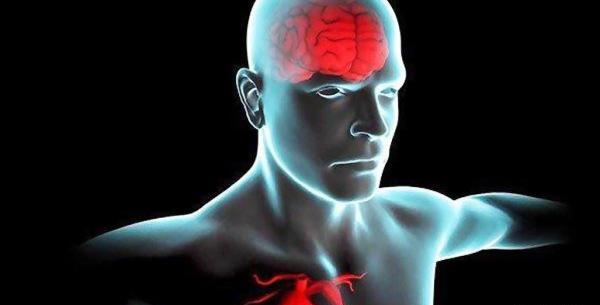 عکس واقعی ضربان قلب