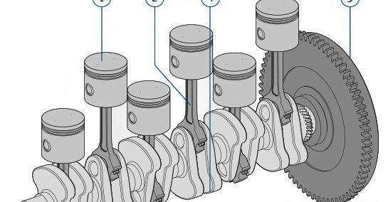 عکس نگین شیخی