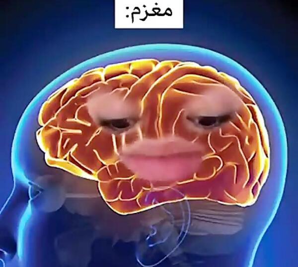 عکس پریسا پور مشکی تیک تاکر