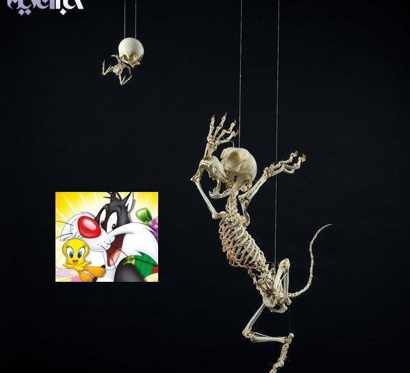 عکس اسکلت برقی