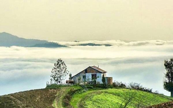 عکس طبیعت رویایی شمال