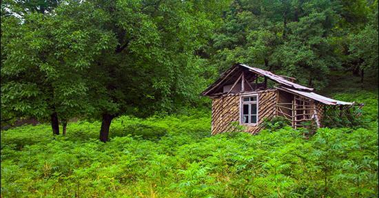 عکس طبیعت رویایی شمال