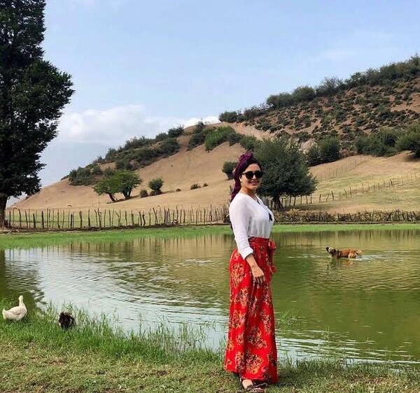 عکس طبیعت رویایی شمال