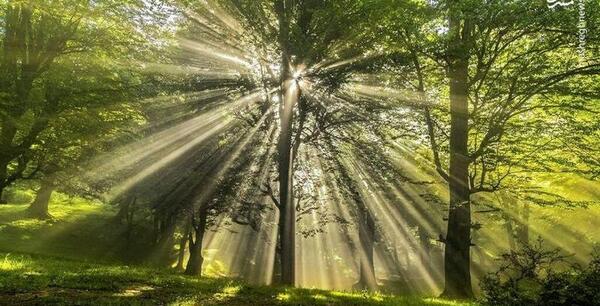 عکس طبیعت رویایی شمال
