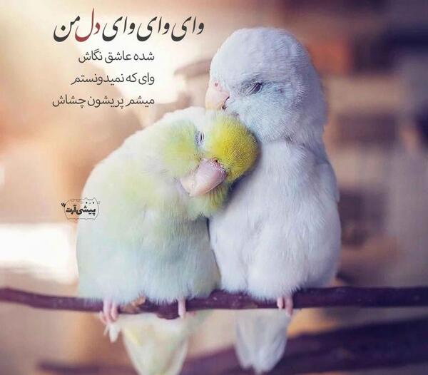 عکس نوشته عاشقانه طلاق