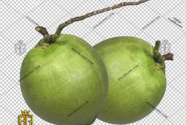 عکس نارگیل سبز