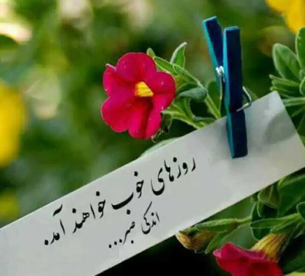 عکس نوشته طبیعت زمستان