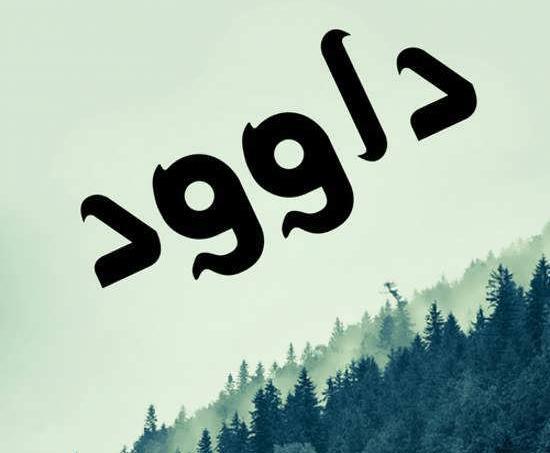 عکس داوود