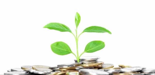 عکس زیبای دلار