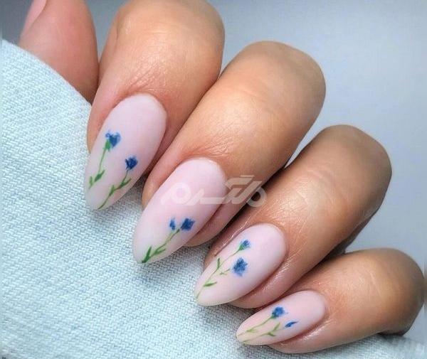 عکس طراحی ناخن های زیبا