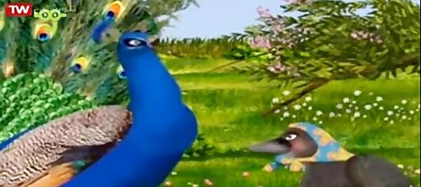 عکس طاووس زشت