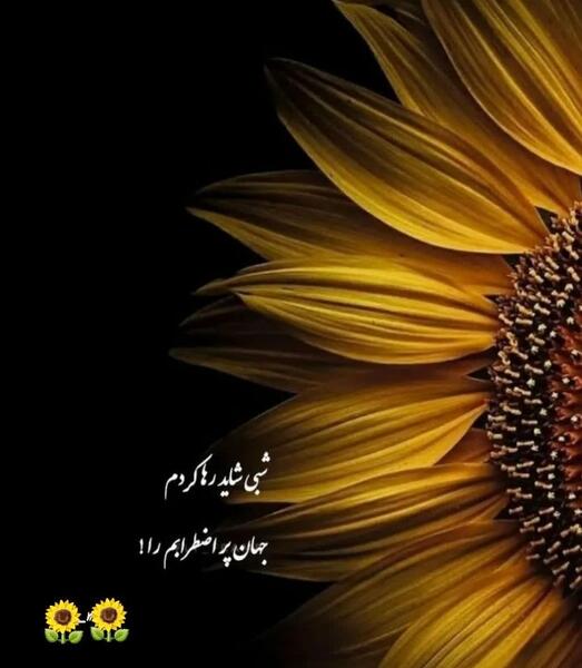 عکس خدایا کفر نمیگویم پریشانم