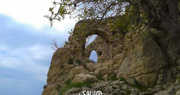 عکس از طبیعت نوراباد ممسنی