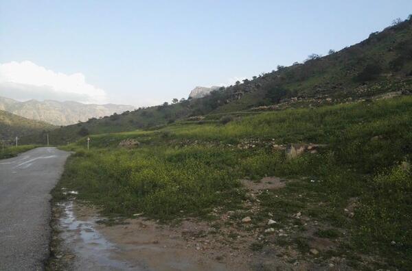 عکس از طبیعت نوراباد ممسنی
