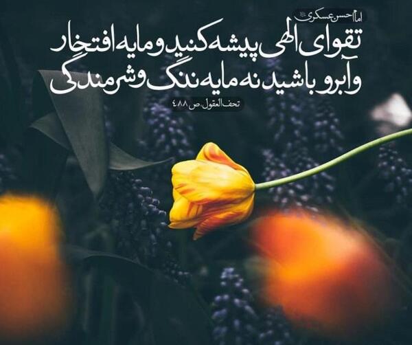 عکس نوشته شهادت امام حسن عسکری و آغاز امامت امام زمان