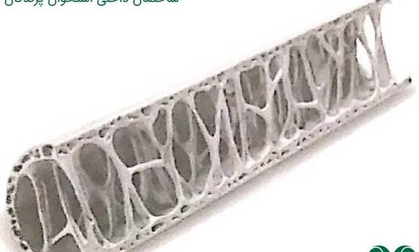 عکس اسکلت پرندگان