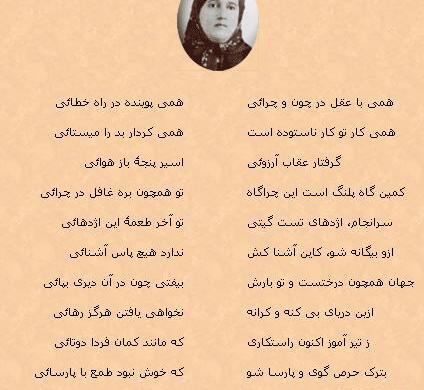 عکس نوشته ی قمر بنی هاشم