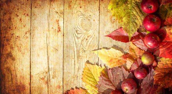 عکس کاغذ دیواری برای پس زمینه