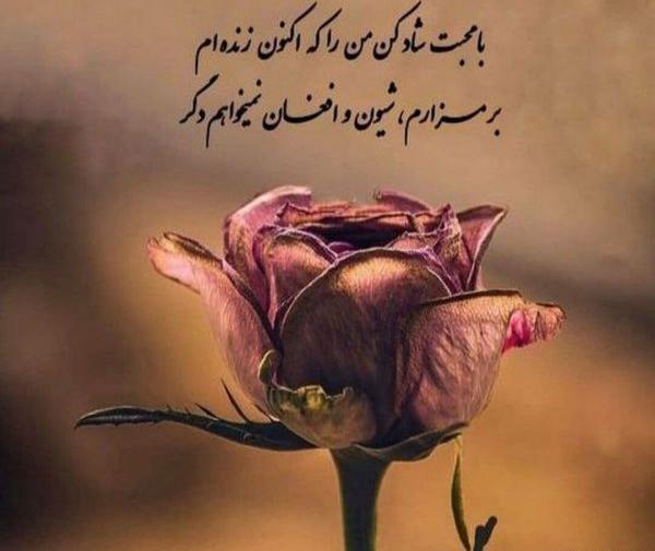 عکس پروفایل زیبا شعر