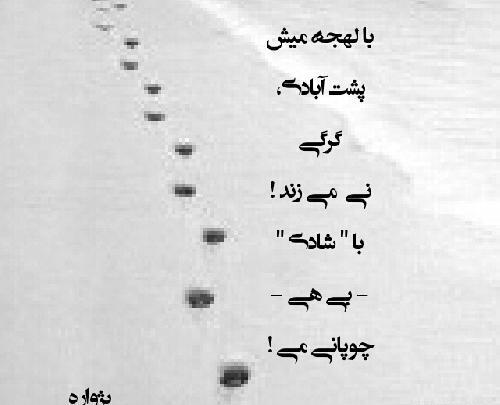 عکس پروفایل زیبا شعر