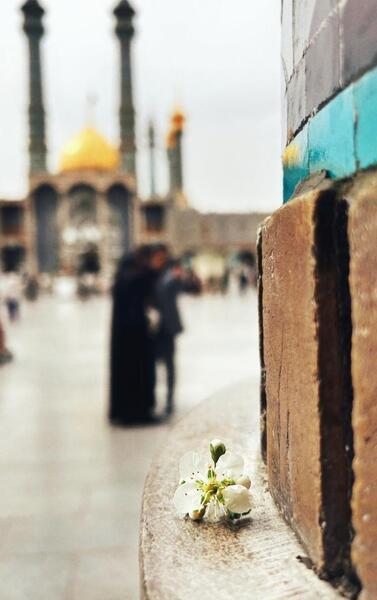 عکس حرم حضرت معصومه علیها السلام