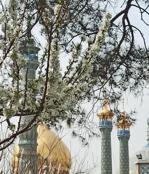 عکس حرم حضرت معصومه علیها السلام