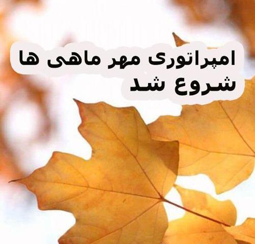 عکس نوشته من زاده مهرم