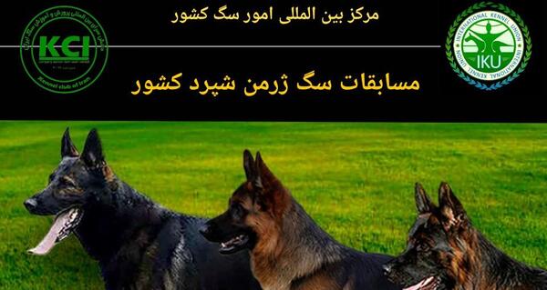 عکس سگ ژرمن شپرد مشکی